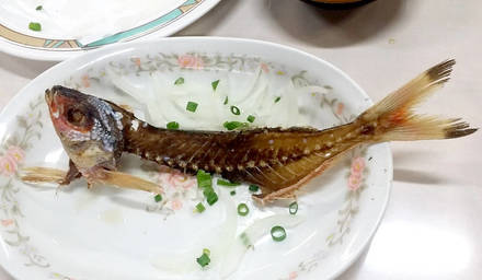 20180107_191327.jpg